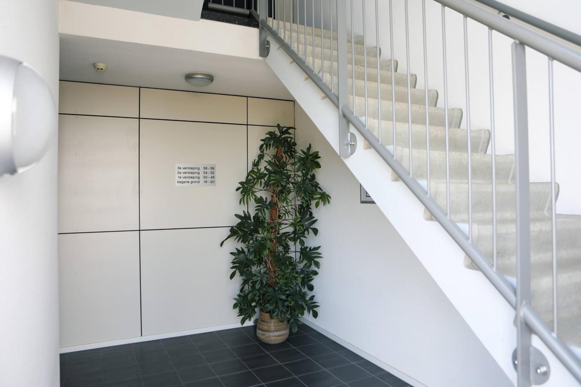 Strand Appartementen Wemeldinge Εξωτερικό φωτογραφία